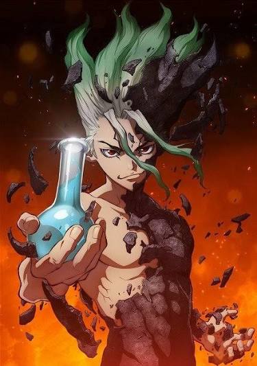 Dr. Stone